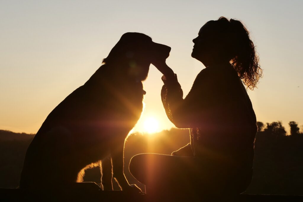 Hund Lebensdauer