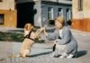 Hund trainieren