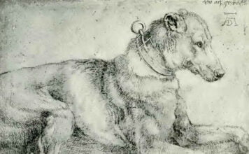 Albrecht Dürer, Liegender Hund