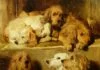 Hunde im Zwinger von Edwin Landseer