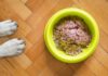 Nassfutter für Hunde