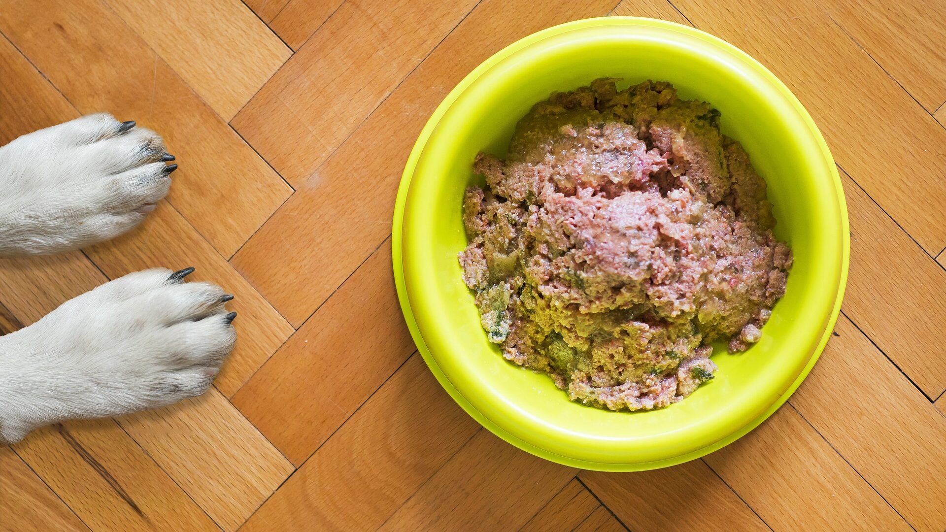 Nassfutter für Hunde
