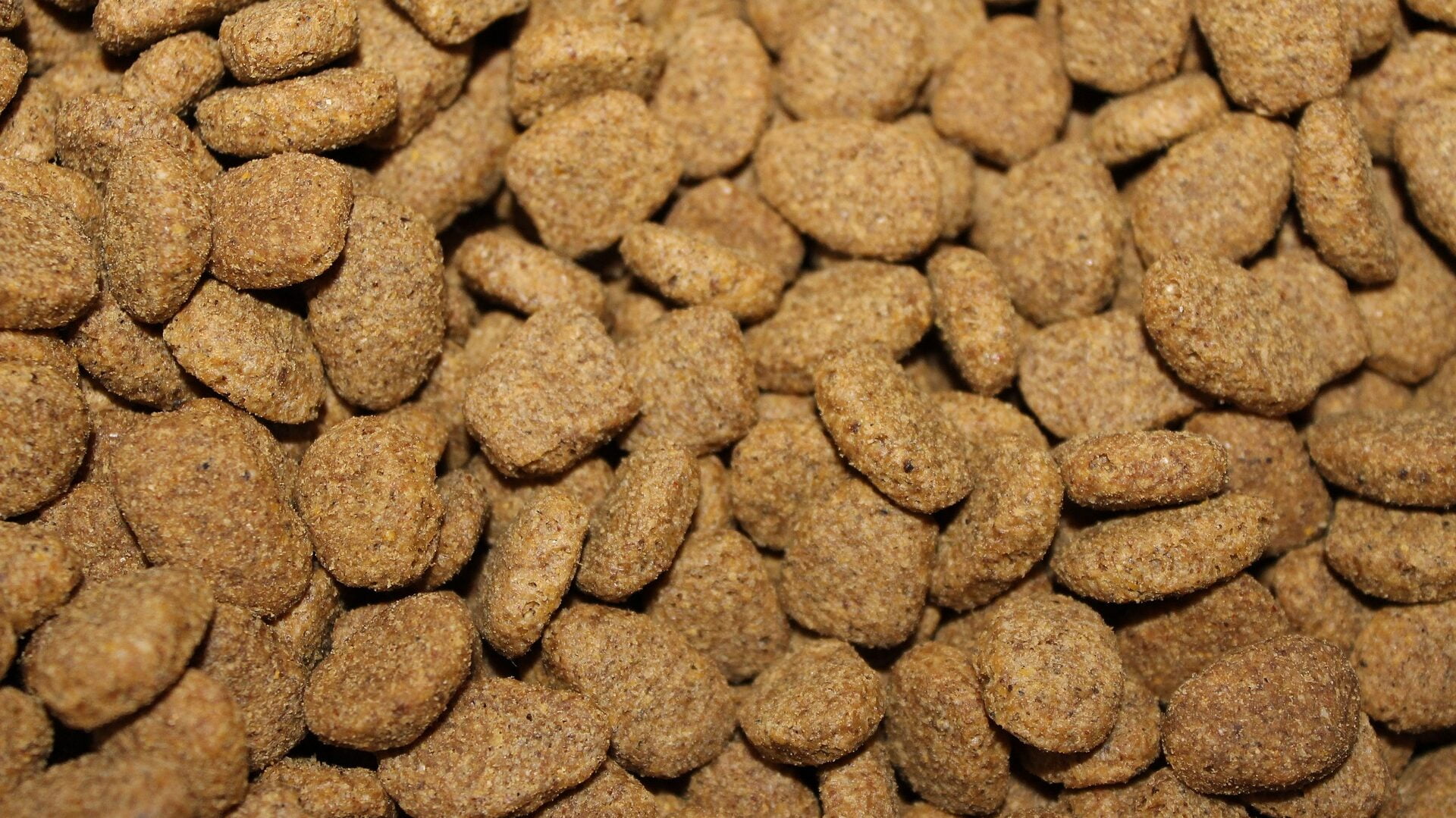 Trockenfutter für Hunde