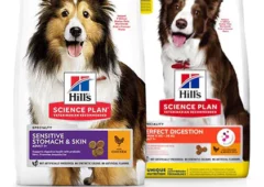Hill’s Science Plan Hundefutter