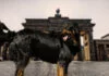 Hundefreundliche Restaurants in Berlin