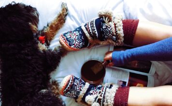 Die 7 besten Bücher für Hundeliebhaber zum Lesen