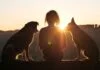 Hunde als spirituelle Begleiter
