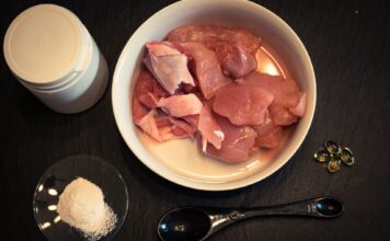 Hundefutter selber machen