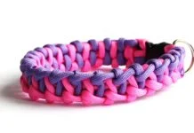 Hundehalsband selber machen