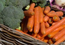 Wie man Hundefutter mit Gemüse kocht Hundefutter mit Gemüse