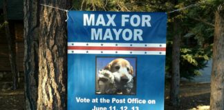 Wie ein Hund zum Bürgermeister einer Stadt wurde