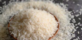 Reis. Bild von jcomp auf Freepik