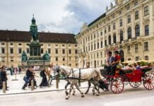 Ist Wien hundefreundlich?